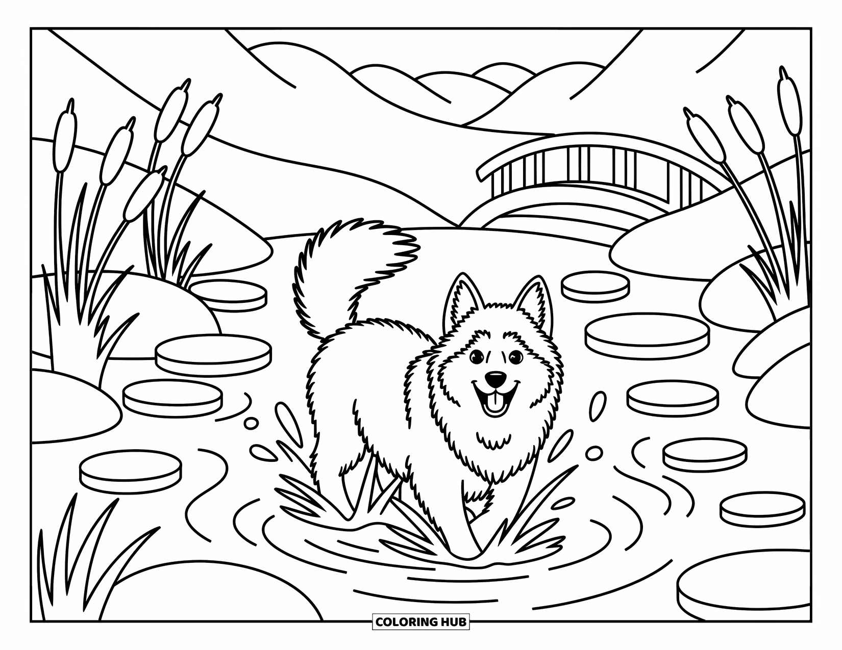 Husky Coloring Page for Adults: A husky with a wagging tail splashes joyfully in a stream below a small wooden bridge