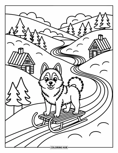 Coloriage de husky pour adultes : Un husky fier pose près d'un traîneau sur une pente enneigée au-dessus d'une vallée de chalets et de pistes sinueuses