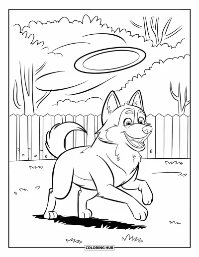 Coloriage de husky pour enfants : Un husky court dans l'herbe en poursuivant un frisbee au-dessus d'une cour clôturée