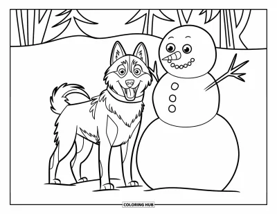Coloriage de husky pour enfants : Un husky se tient près d'un bonhomme de neige aux yeux de charbon et au nez en carotte