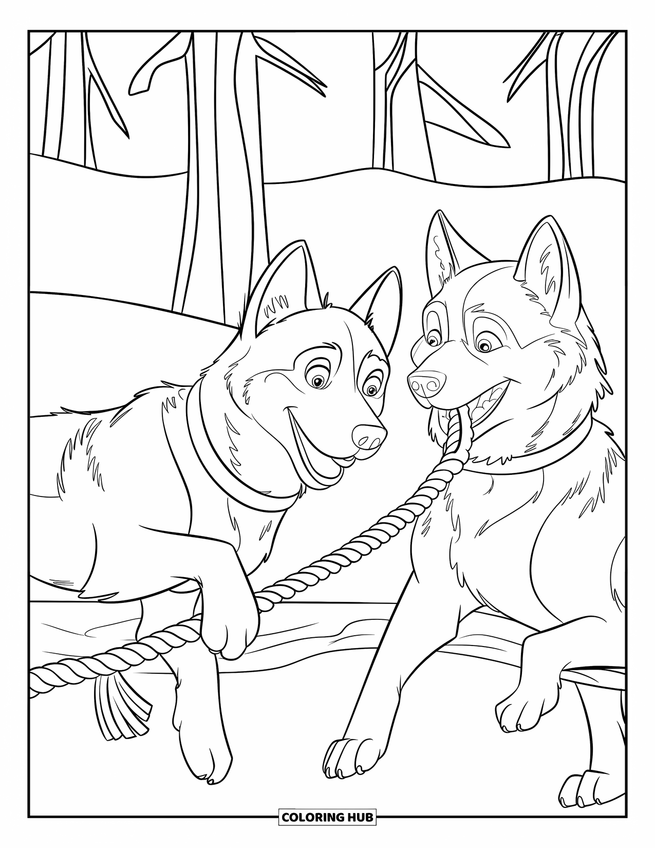 Husky Coloring Page for Kids: Two huskies tug on a rope toy wrapped around a snowy tree branch