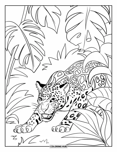 Coloriage de jaguar pour enfants : Un jaguar aux dents découvertes s’accroupit parmi les feuilles et les vignes de la jungle