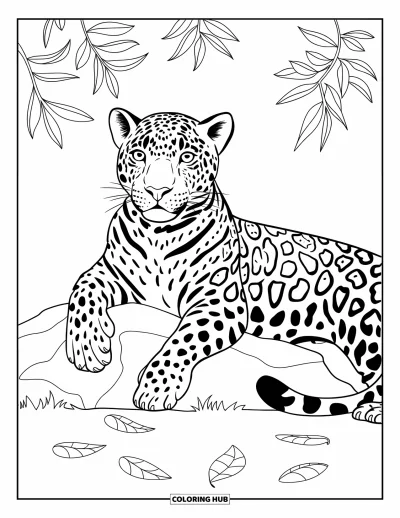 Coloriage de jaguar pour enfants : Un jaguar calme repose sa patte sur un rocher entouré de feuilles