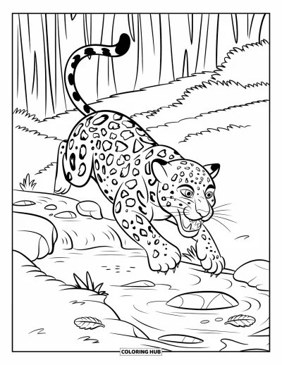 Coloriage de jaguar pour enfants : Un jaguar saute par-dessus un ruisseau avec la bouche ouverte, entouré de rochers et de verdure forestière