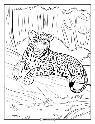 Coloriage de jaguar pour enfants : Un jaguar se repose tranquillement sur un terrain rocheux recouvert de feuilles dans une forêt