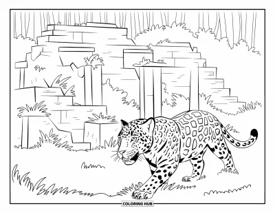 Coloriage de jaguar pour enfants : Un jaguar se faufile devant des ruines envahies par la végétation dans un décor de jungle profonde
