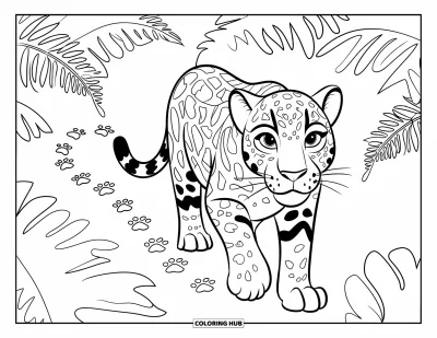 Coloriage de jaguar pour enfants : Un jaguar se promène dans les fougères, laissant des empreintes de pattes derrière lui