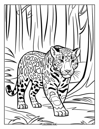 Coloriage de jaguar pour enfants : Un jaguar marche fièrement à travers un sentier forestier dense et rempli d’arbres