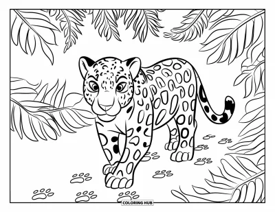Coloriage de jaguar pour enfants : Un jaguar marche à travers des bois remplis de fougères, laissant des empreintes de pattes derrière lui