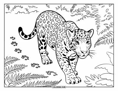 Coloriage de jaguar pour enfants : Un jaguar marche à travers les fougères de la forêt avec une traînée d’empreintes de pattes