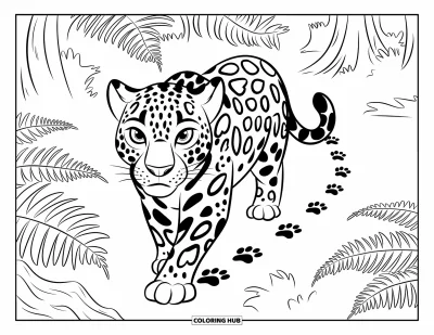 Coloriage de jaguar pour enfants : Un jaguar avec de grands yeux marche à travers les fougères et les empreintes de pas