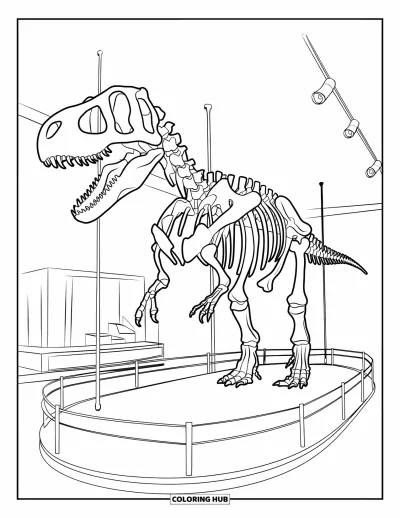 Omalovánka písmene D pro děti: Vysoká kostra dinosaura stojí v muzejní expozici