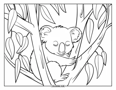 Coloriage de la lettre E pour enfants : Un koala tranquille se repose sur un tronc d'arbre entouré de grandes feuilles courbes