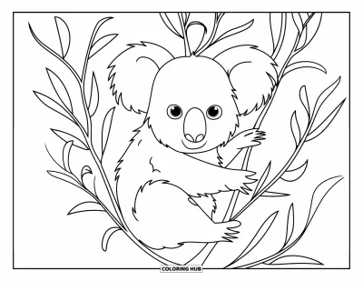 Coloriage de la lettre E pour enfants : Un koala sommeille sur une branche d'eucalyptus entourée de feuilles douces et ondulantes