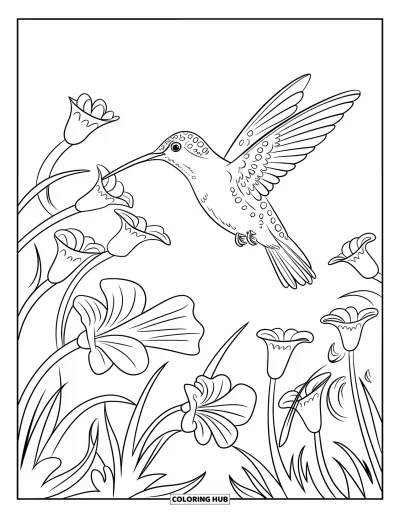 Coloriage de la lettre H pour enfants : Un colibri boit du nectar en vol depuis des fleurs lumineuses en forme de trompette