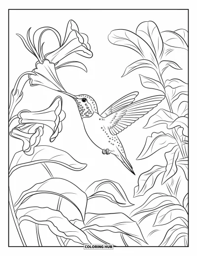 Coloriage de la lettre H pour enfants : Un colibri boit du nectar dans un jardin coloré rempli de fleurs en trompette