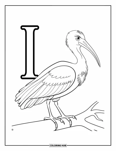 Coloriage de la lettre I pour enfants : Un fier ibis se tient à côté de la lettre I avec les ailes légèrement déployées