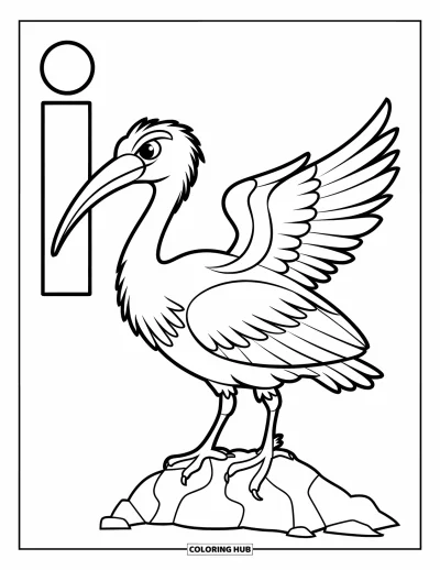 Coloriage de la lettre I pour enfants : Un ibis au bec recourbé se tient sur un rocher à côté de la lettre I