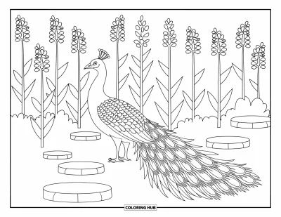 Coloriage de la lettre P pour enfants : Un paon fier exhibe ses plumes parmi de grandes fleurs et une allée de jardin