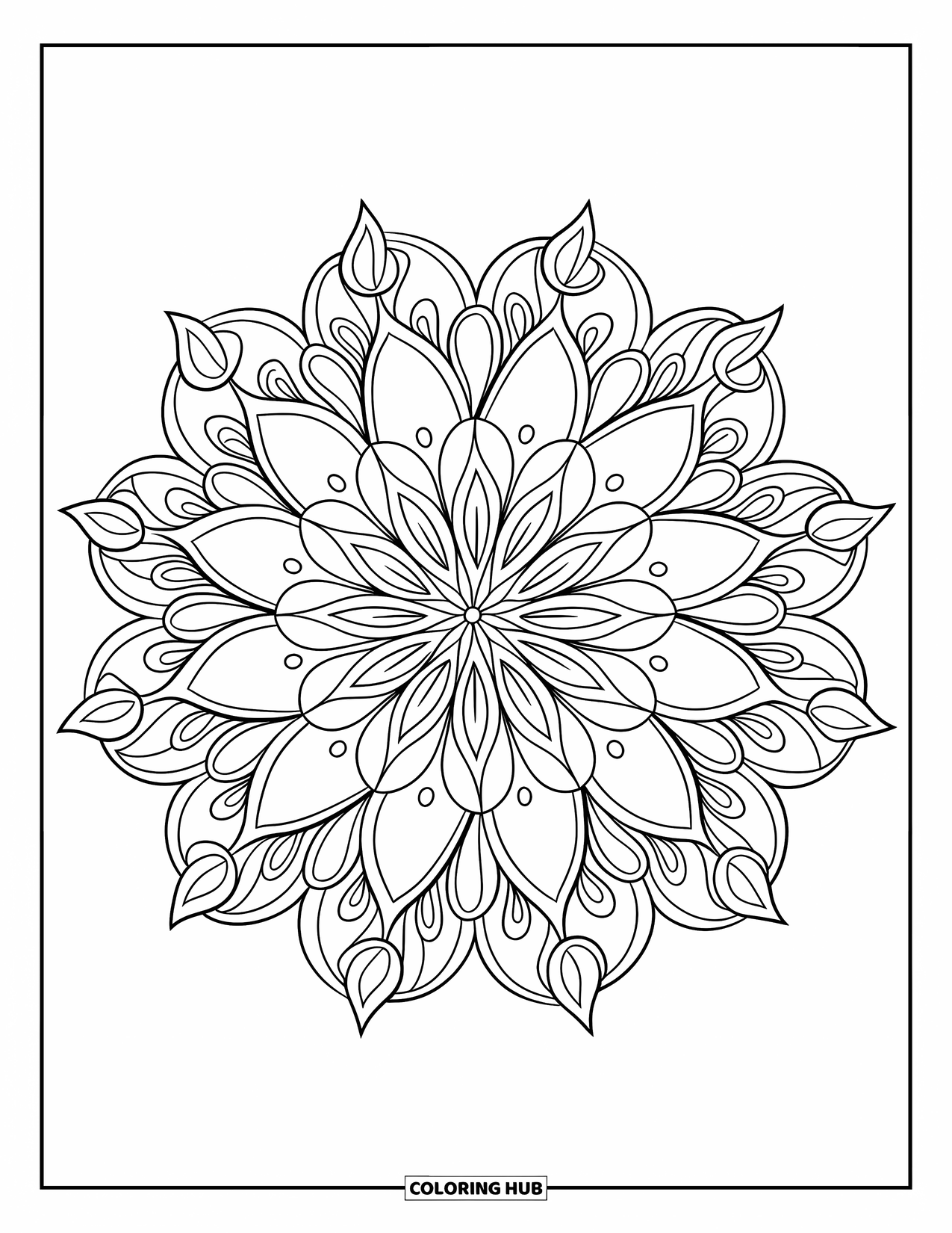Mandala Coloring Page for Adults: Detailed mandala with petals, filigree curls, and circular bands