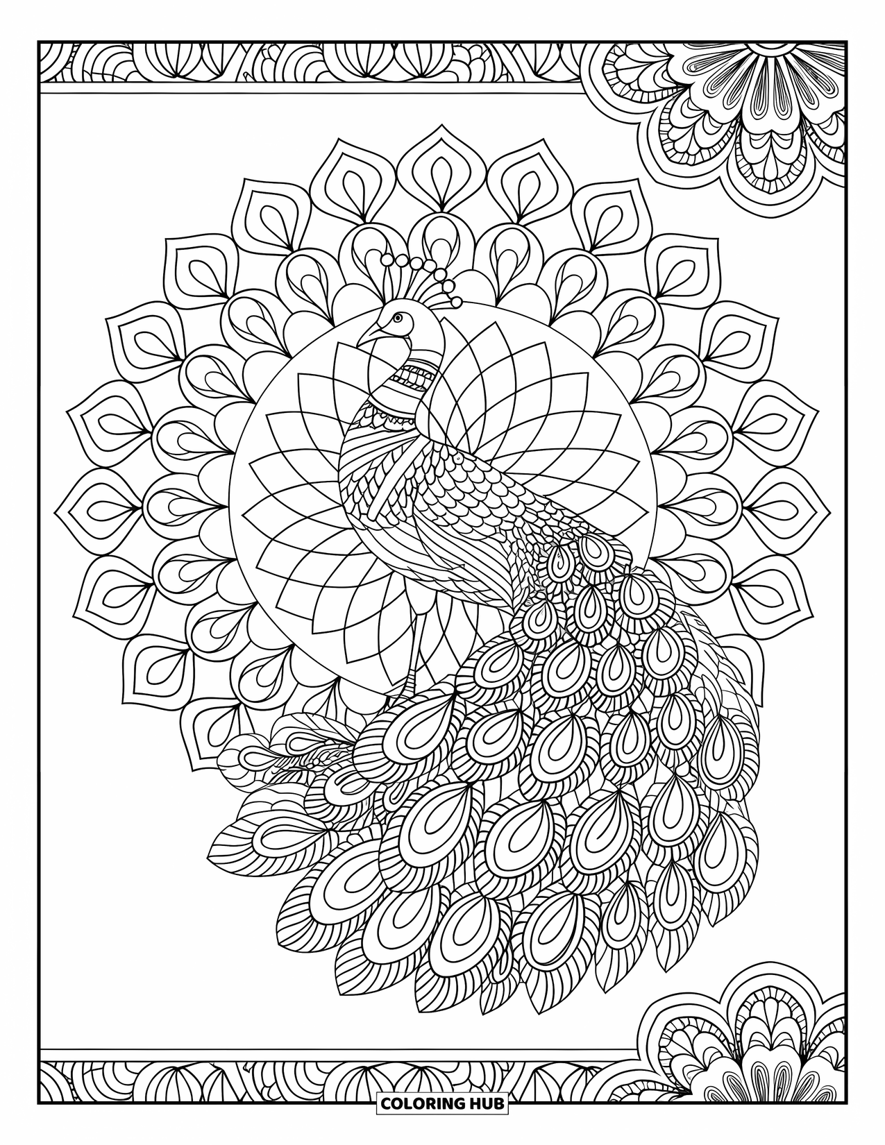 Mandala Coloring Page for Adults: Elegant peacock mandala with layered floral designs and borders