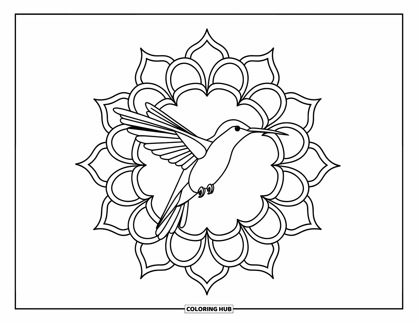 Mandala Coloring Page for Adults: Graceful hummingbird flying through a floral swirl mandala scene