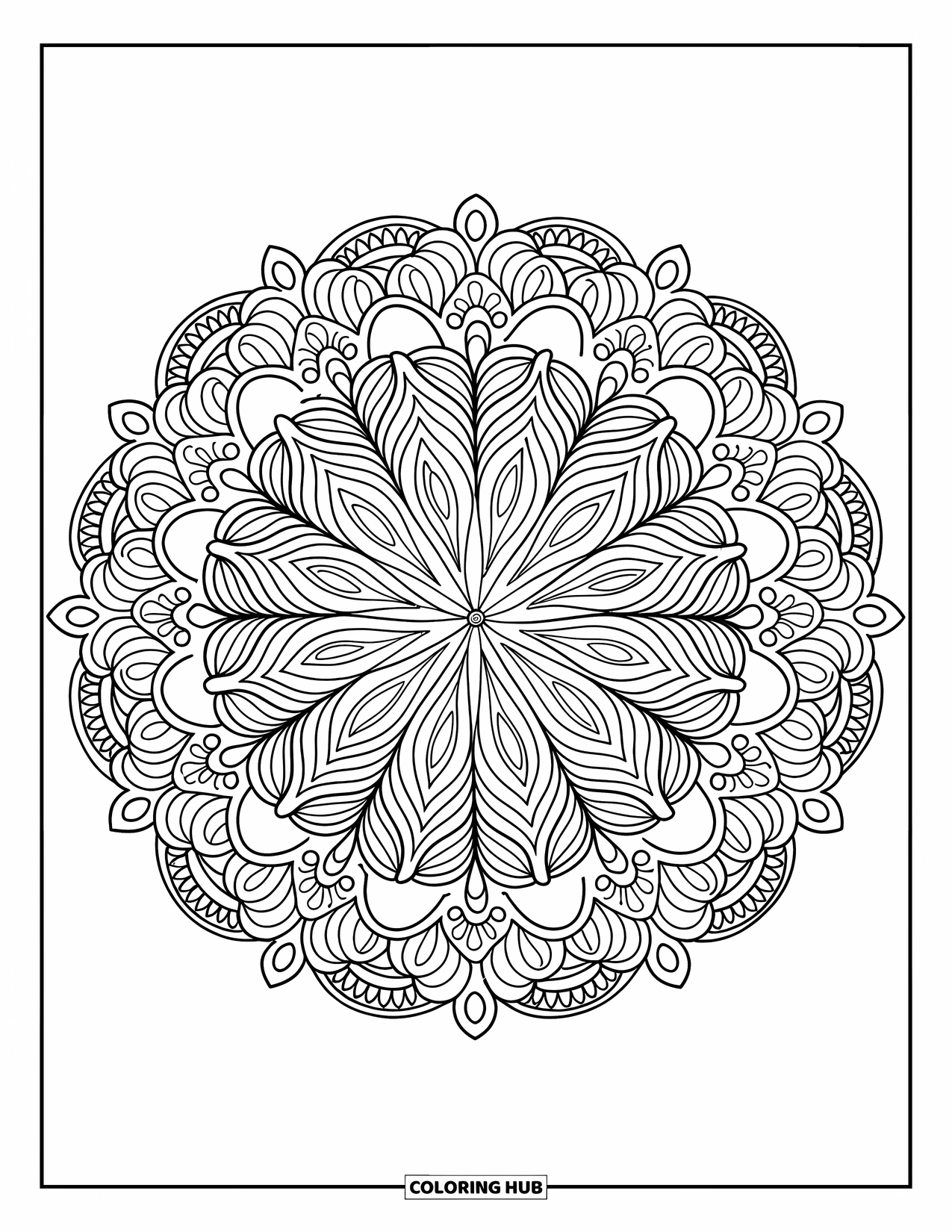 Mandala Coloring Page for Adults: Mandala with paisley and leaf motifs arranged in a detailed circular pattern