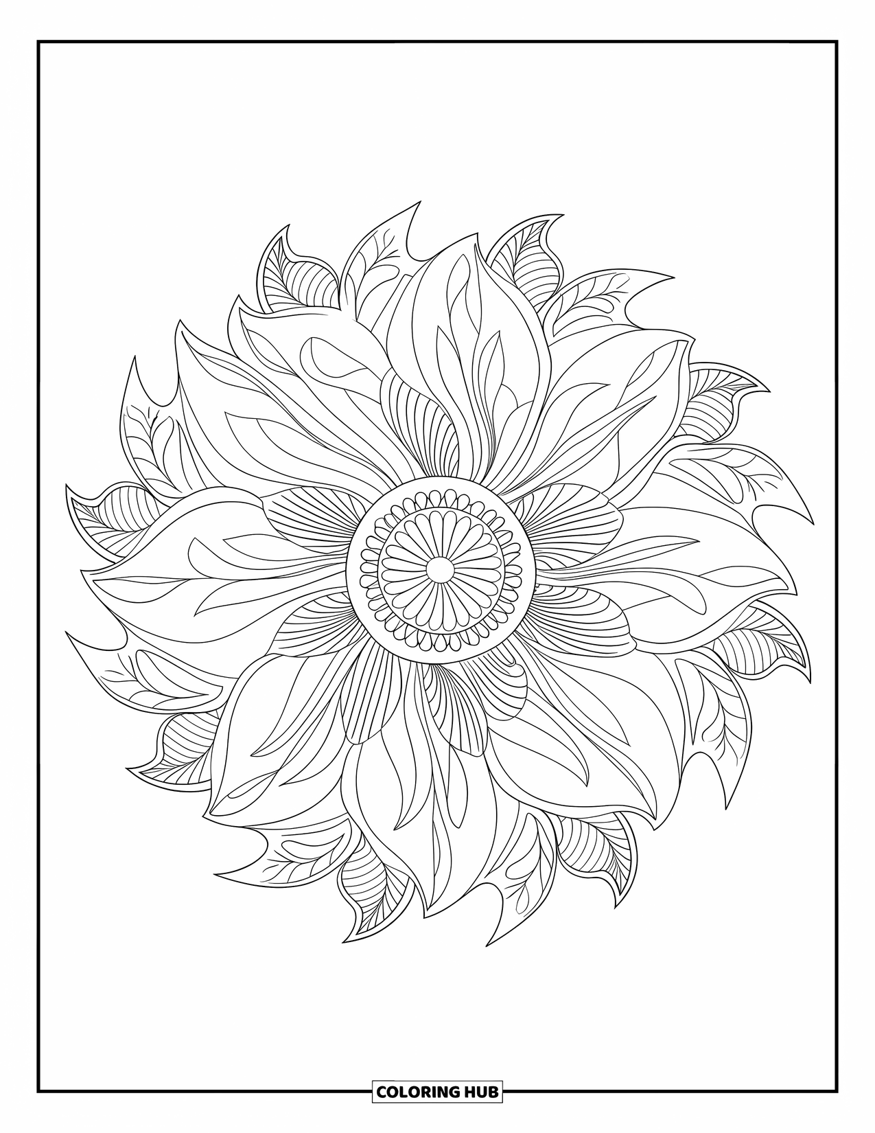 Mandala Coloring Page for Adults: Petal mandala with layered bands and elegant filigree patterns