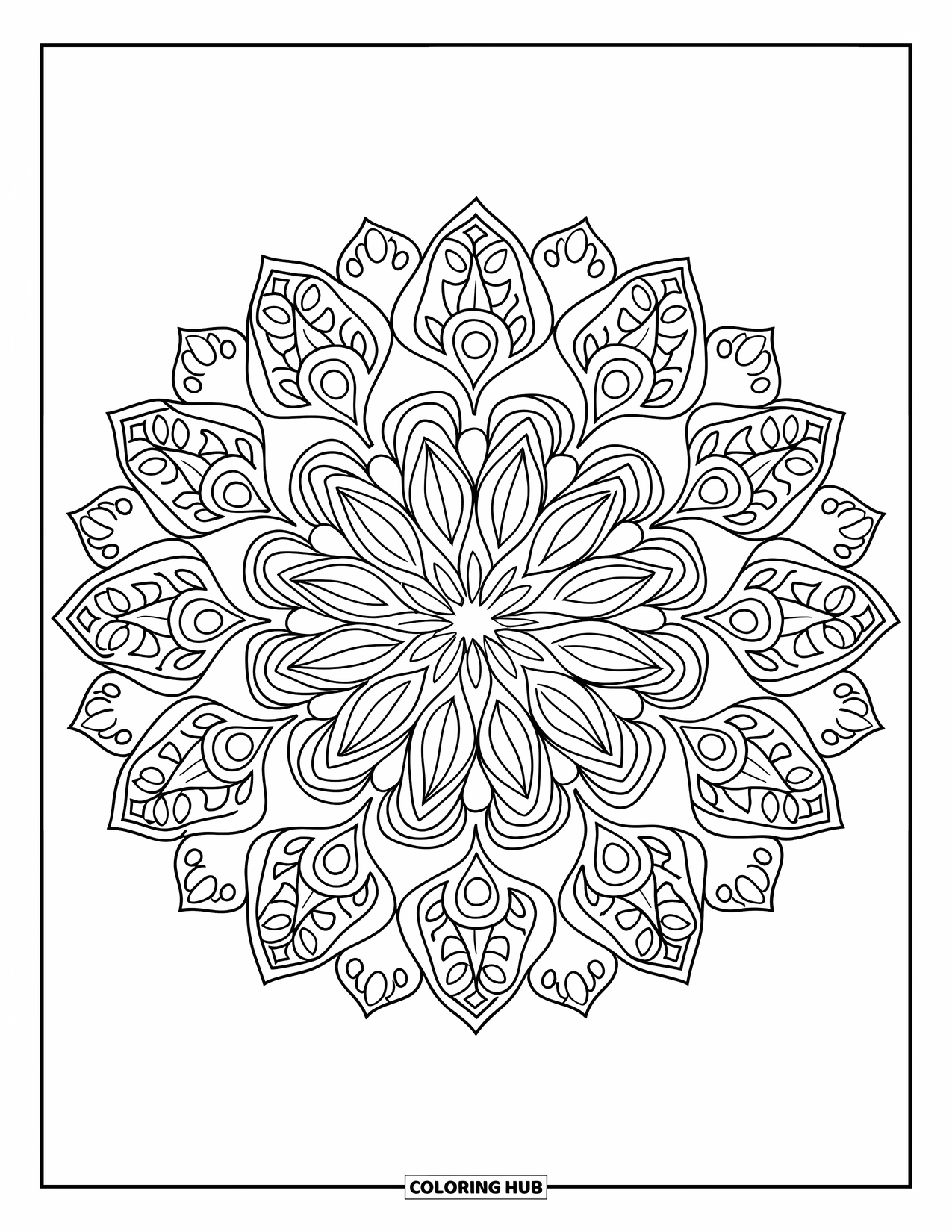 Mandala Coloring Page for Adults: Radial mandala with paisley, teardrop, and leaf shapes in a decorative ring