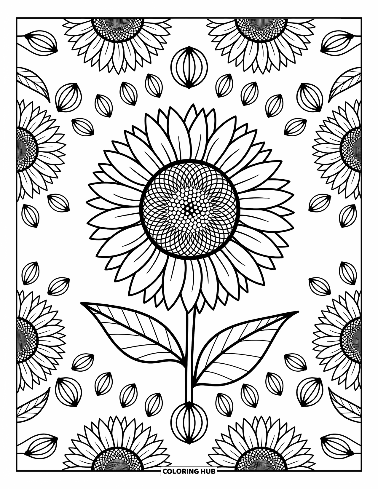Mandala Coloring Page for Adults: Sunflower mandala with pointed leaves, seeds, and soft curved petals