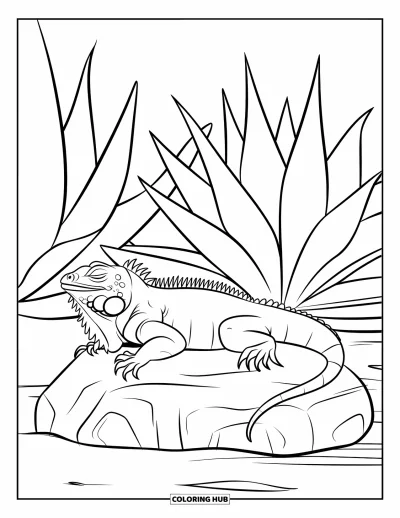Coloriage Mexique pour enfants : un iguane endormi profite de la chaleur sur un rocher sablonneux
