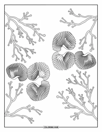 Coloriage d'océan pour adultes : Deux scènes de corail en miroir se rejoignent au centre, entourées de détails doux et tourbillonnants