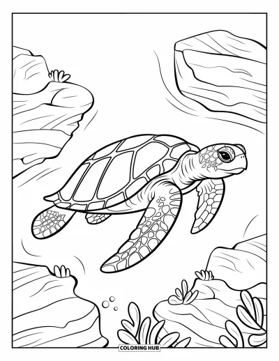 Coloriage d'océan pour enfants : Une tortue paisible dérive dans une eau calme près de plantes arrondies et de zones rocheuses