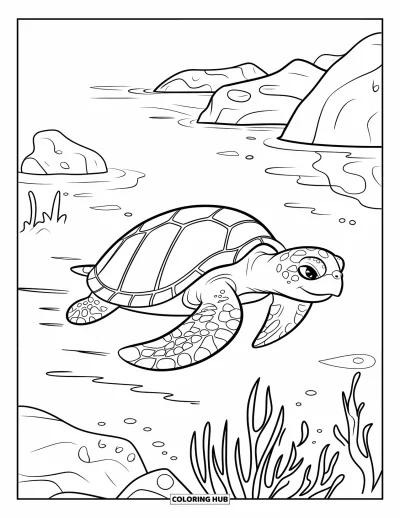 Coloriage d'océan pour enfants : Une tortue de mer glisse près de rochers et de plantes dans une eau calme au rythme apaisant