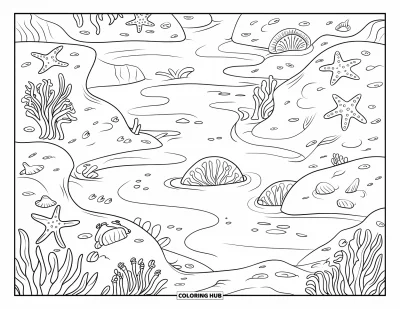 Coloriage d'océan pour enfants : Une flaque de marée remplie de créatures marines repose parmi des rochers et des algues ondulantes
