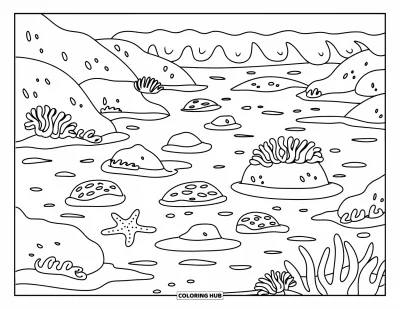 Coloriage d'océan pour enfants : Une flaque de marée avec des rochers, des algues et une vague douce abrite des étoiles de mer et de la vie marine