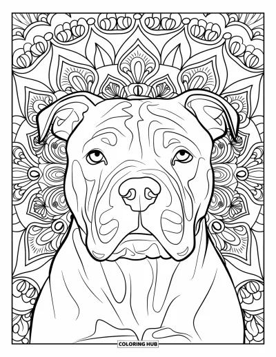 Coloriage de pitbull pour adultes : Portrait de pitbull en gros plan avec un mandala de triangles et de boucles
