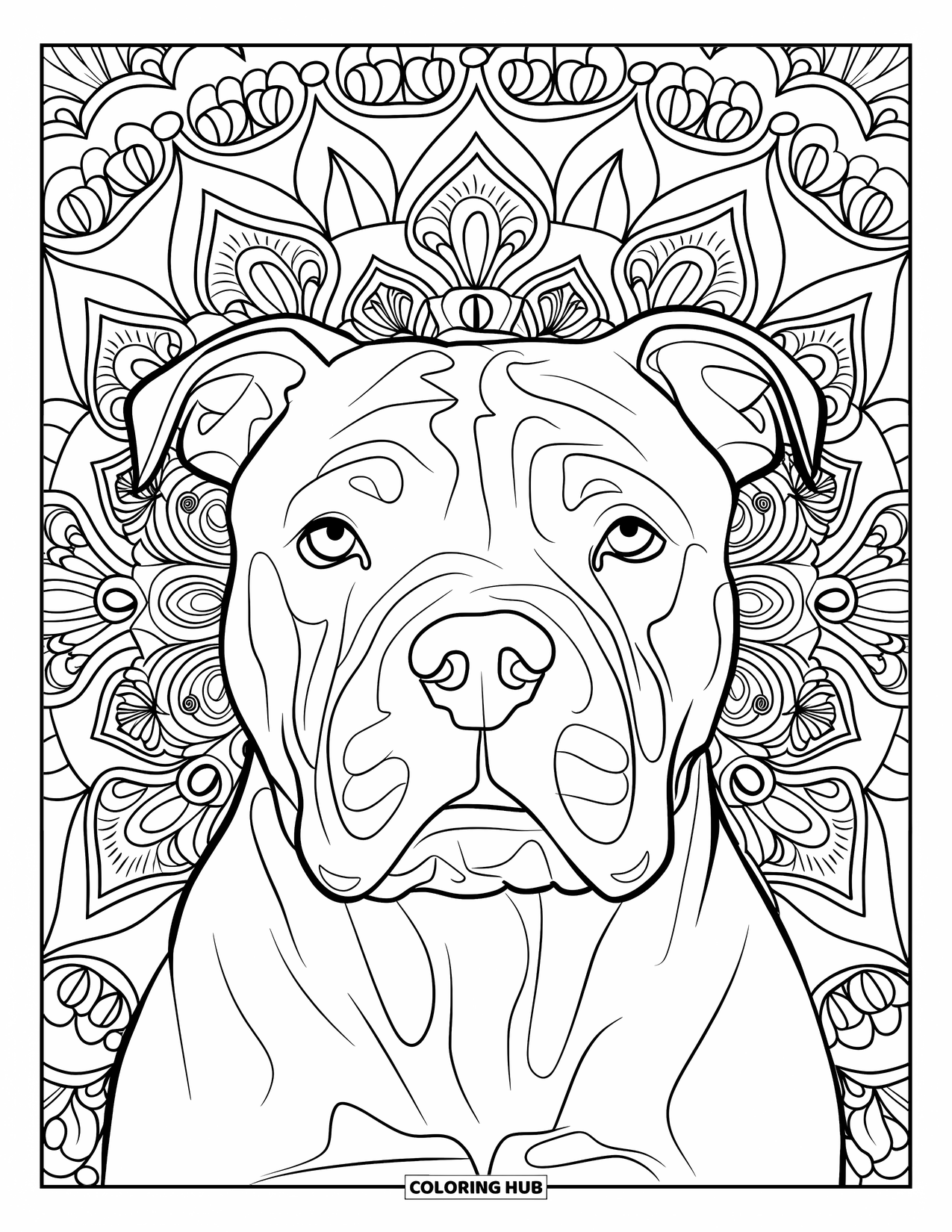 Dibujo de Pitbull para adultos: Primer plano del retrato de un pitbull con un mandala de triángulos y rizos