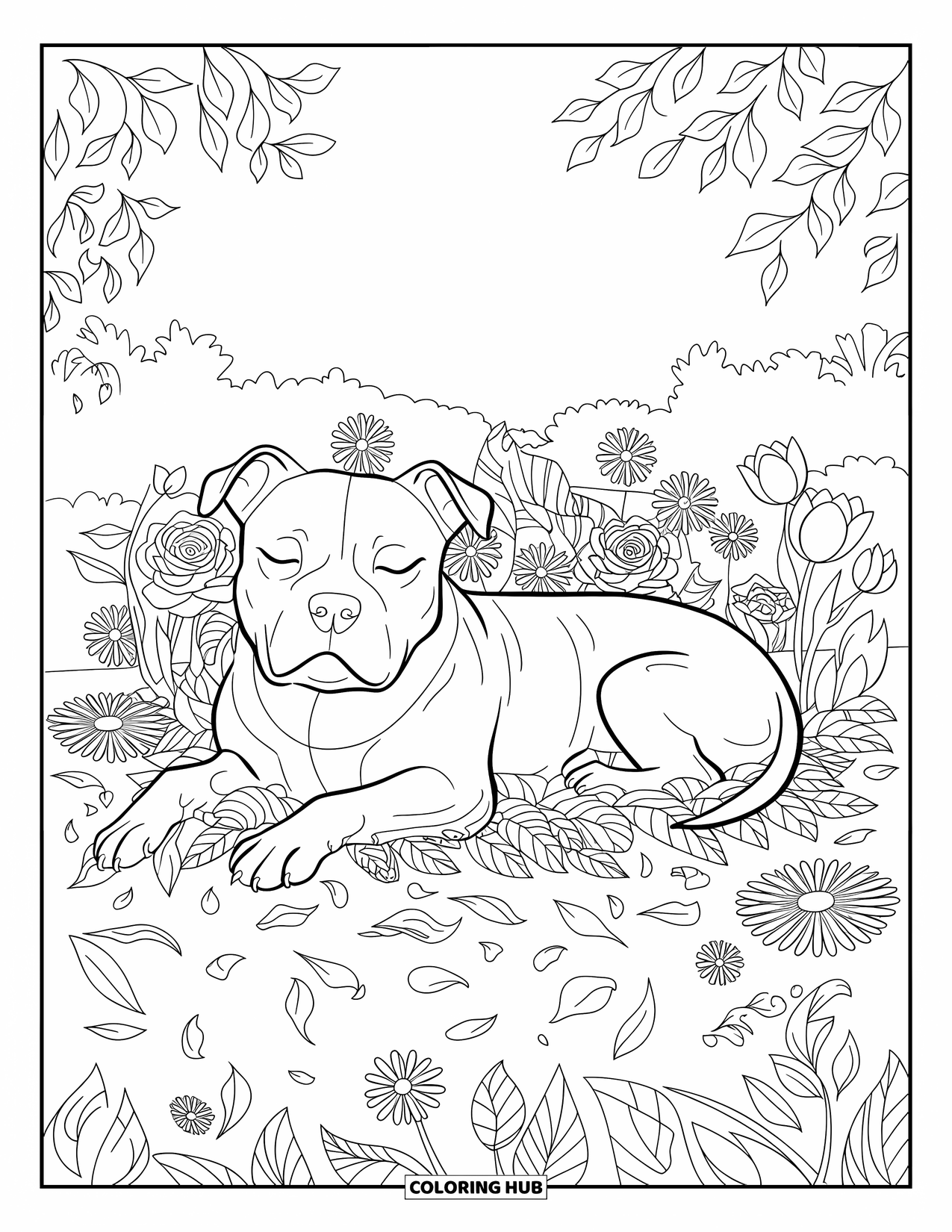 Dibujo de Pitbull para adultos: Pitbull en un campo floral de tulipanes, margaritas y pétalos que caen