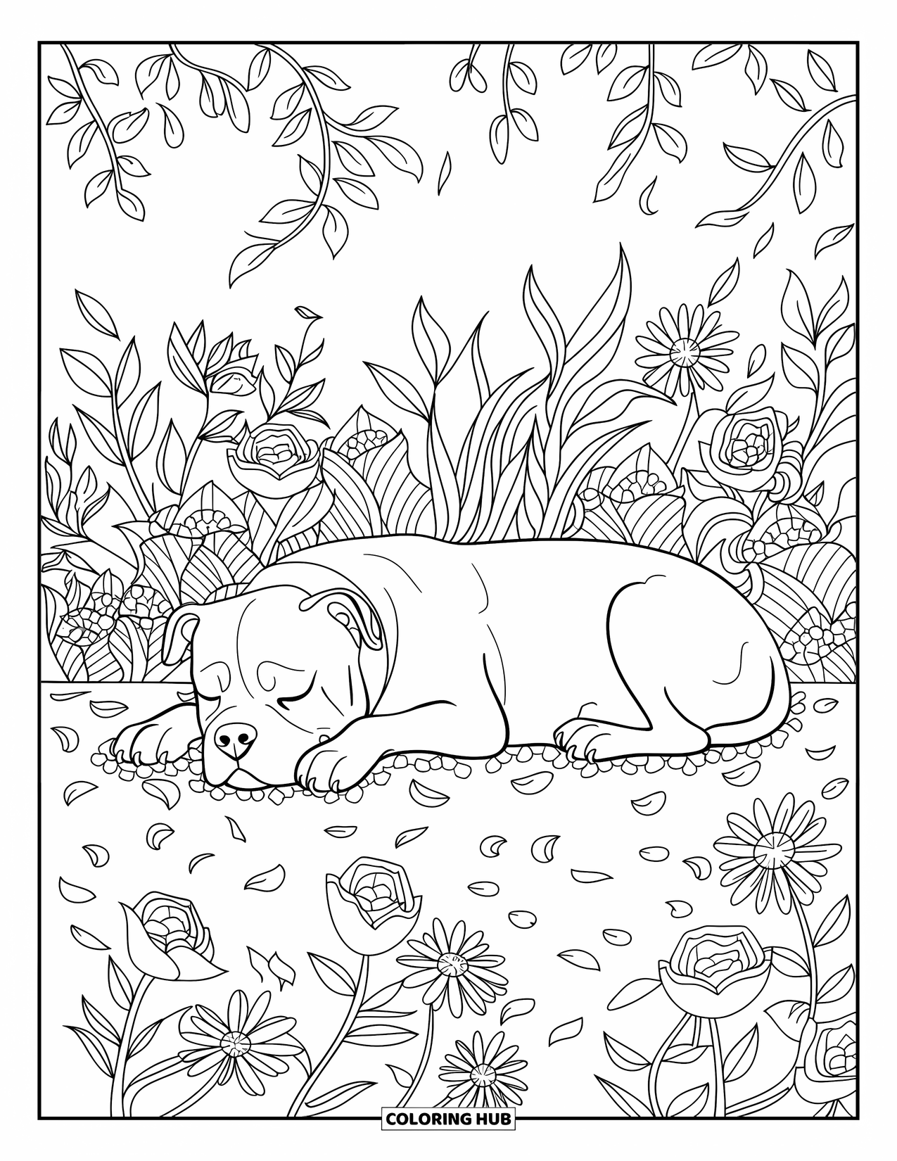 Dibujo para colorear de Pitbull para adultos: Un pitbull está acostado pacíficamente en un jardín con rosas, lirios y hojas
