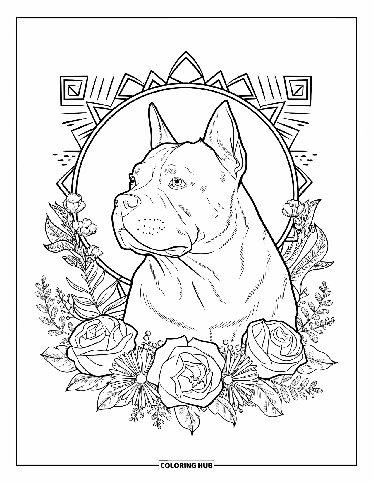 Dibujo para colorear de Pitbull para adultos: Un pitbull mira de lado en un patrón geométrico enmarcado por flores