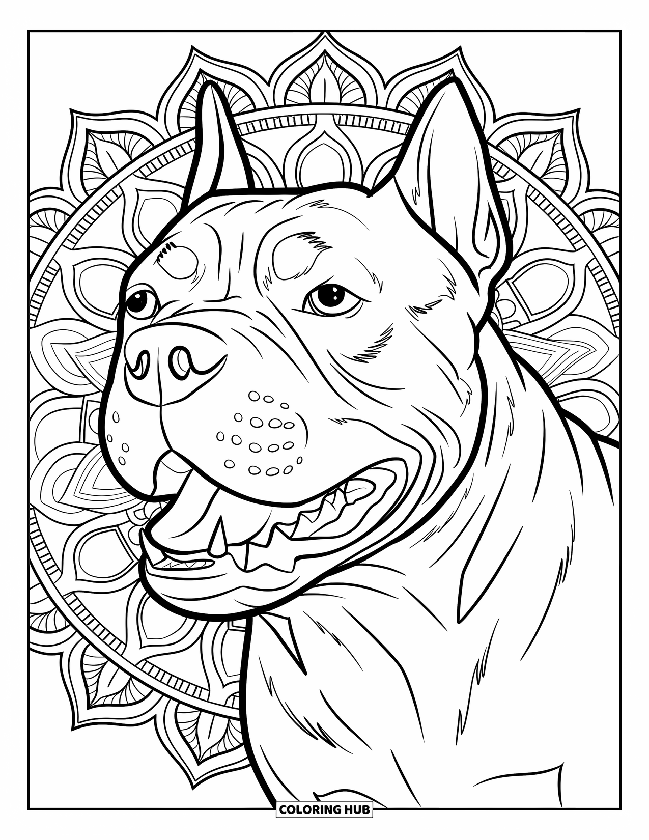 Dibujo de Pitbull para adultos: Pitbull en el aire con la boca abierta frente a un mandala geométrico