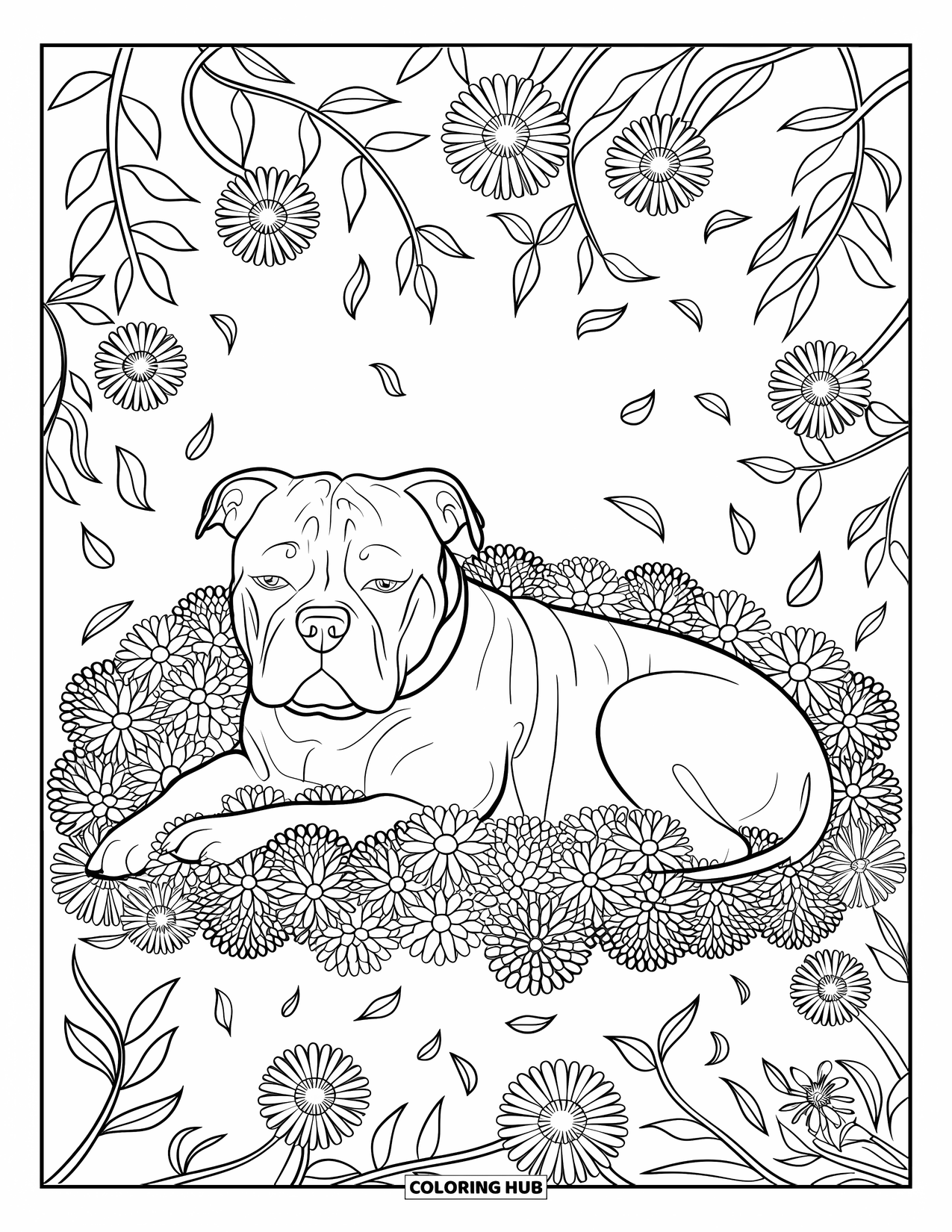 Dibujo de Pitbull para adultos: Pitbull en un lecho de flores rodeado de patrones de pétalos y espacio en blanco