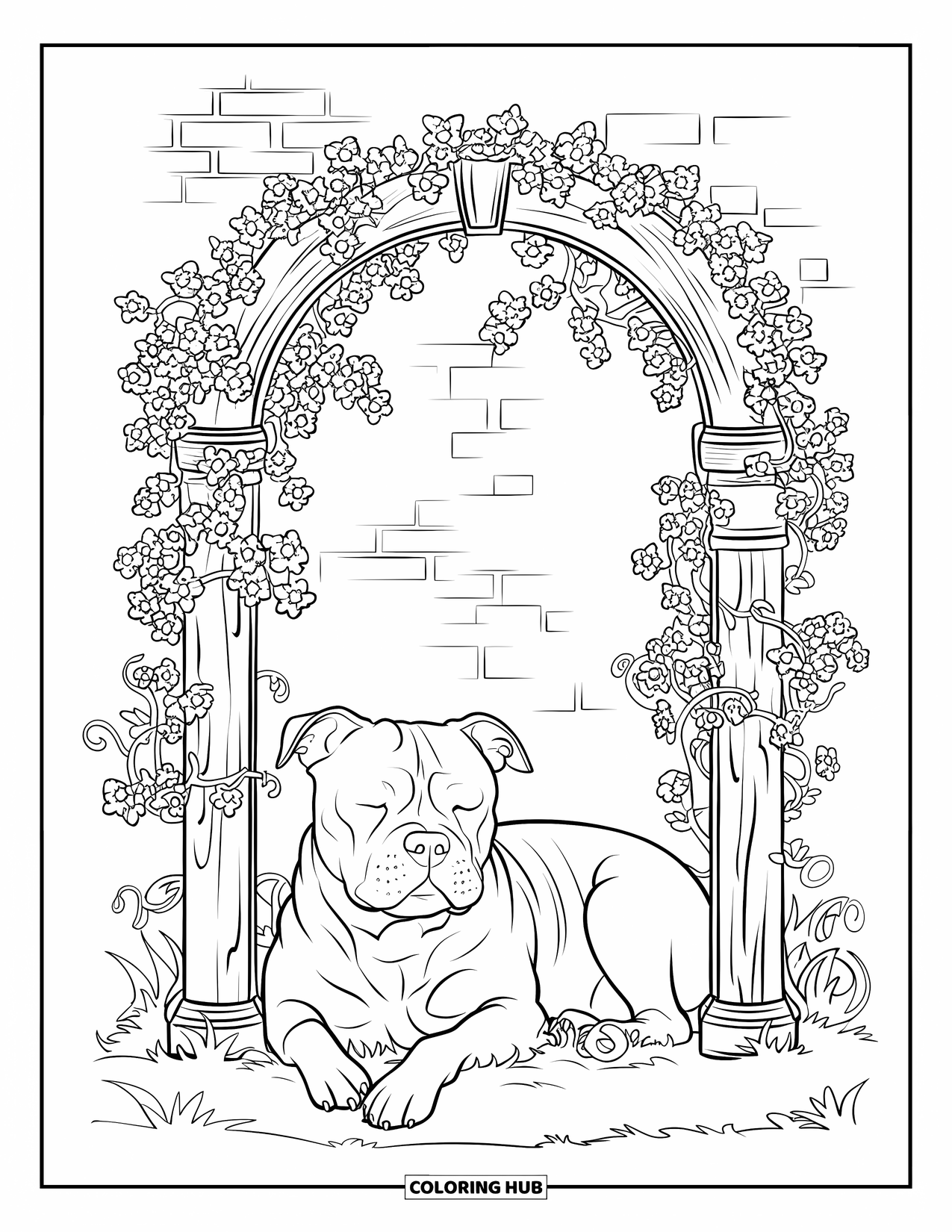 Dibujo para colorear de Pitbull para adultos: Un pitbull descansa pacíficamente debajo de un enrejado en un jardín rústico de ladrillo