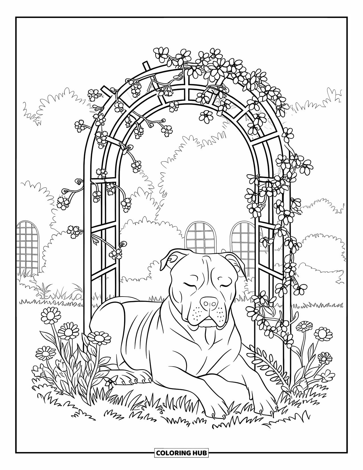 Dibujo para colorear de Pitbull para adultos: Un pitbull duerme en un enrejado de jardín lleno de flores rodeado de árboles