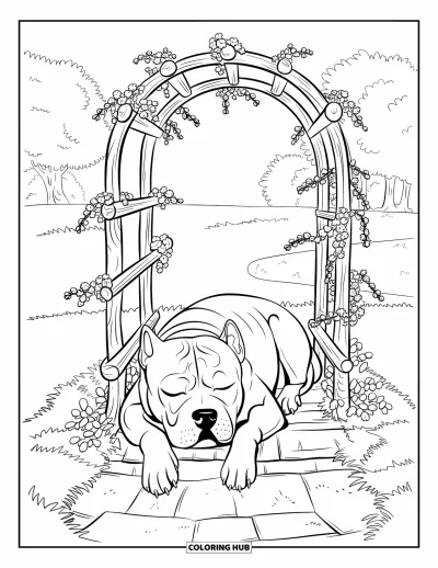 Coloriage de Pitbull pour adultes : Un pitbull somnole sur un chemin de pierre sous une arche en bois couverte de fleurs
