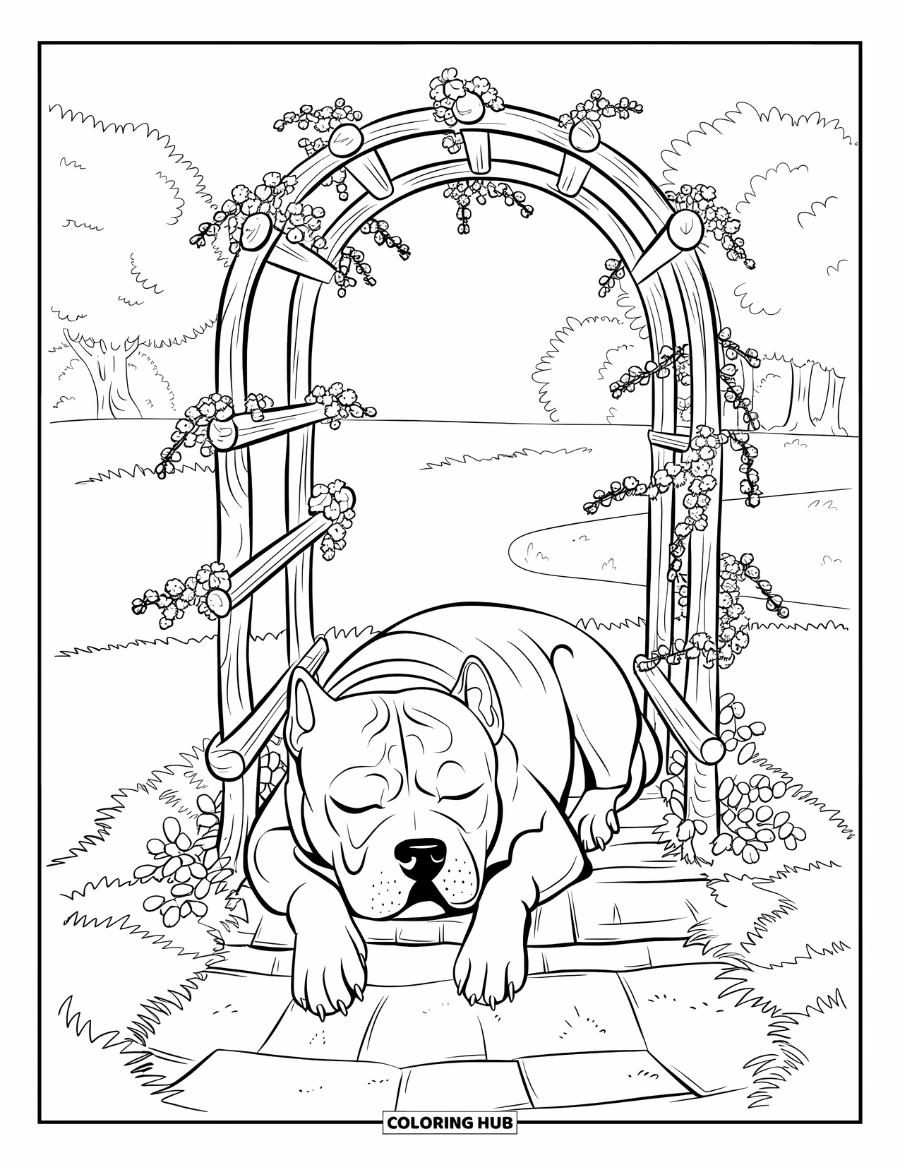 Dibujo para colorear de Pitbull para adultos: Un pitbull duerme en un camino de piedra debajo de un arco de madera cubierto de flores