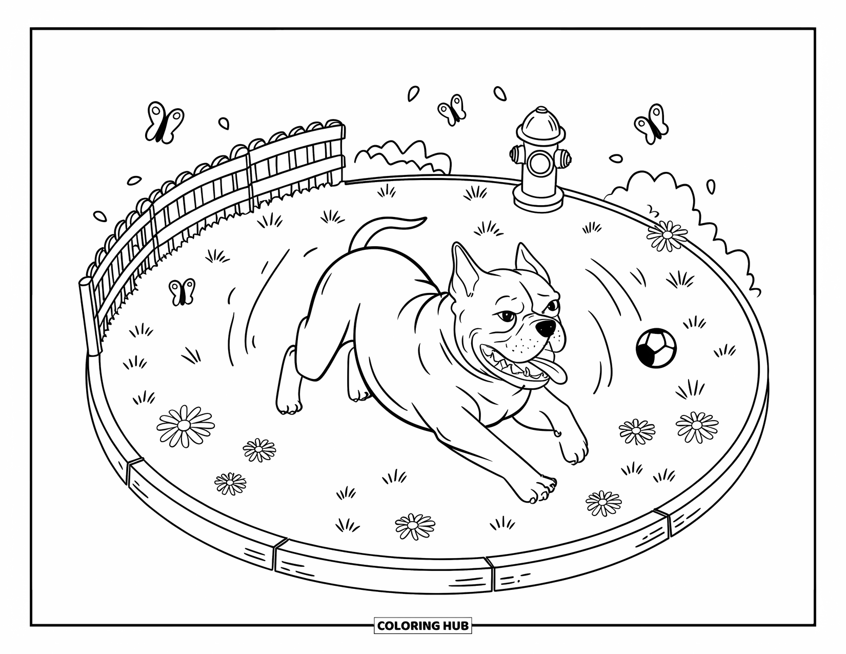 Dibujo para colorear de Pitbull para adultos: Un pitbull gira alegremente en un pequeño parque con mariposas y líneas onduladas