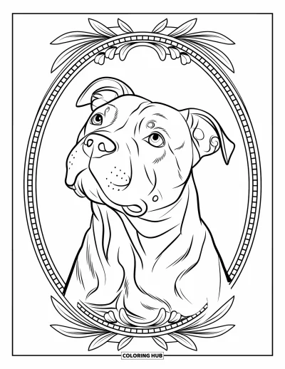 Coloriage de pitbull pour adultes : Portrait réaliste de pitbull encadré d'une bordure florale et géométrique