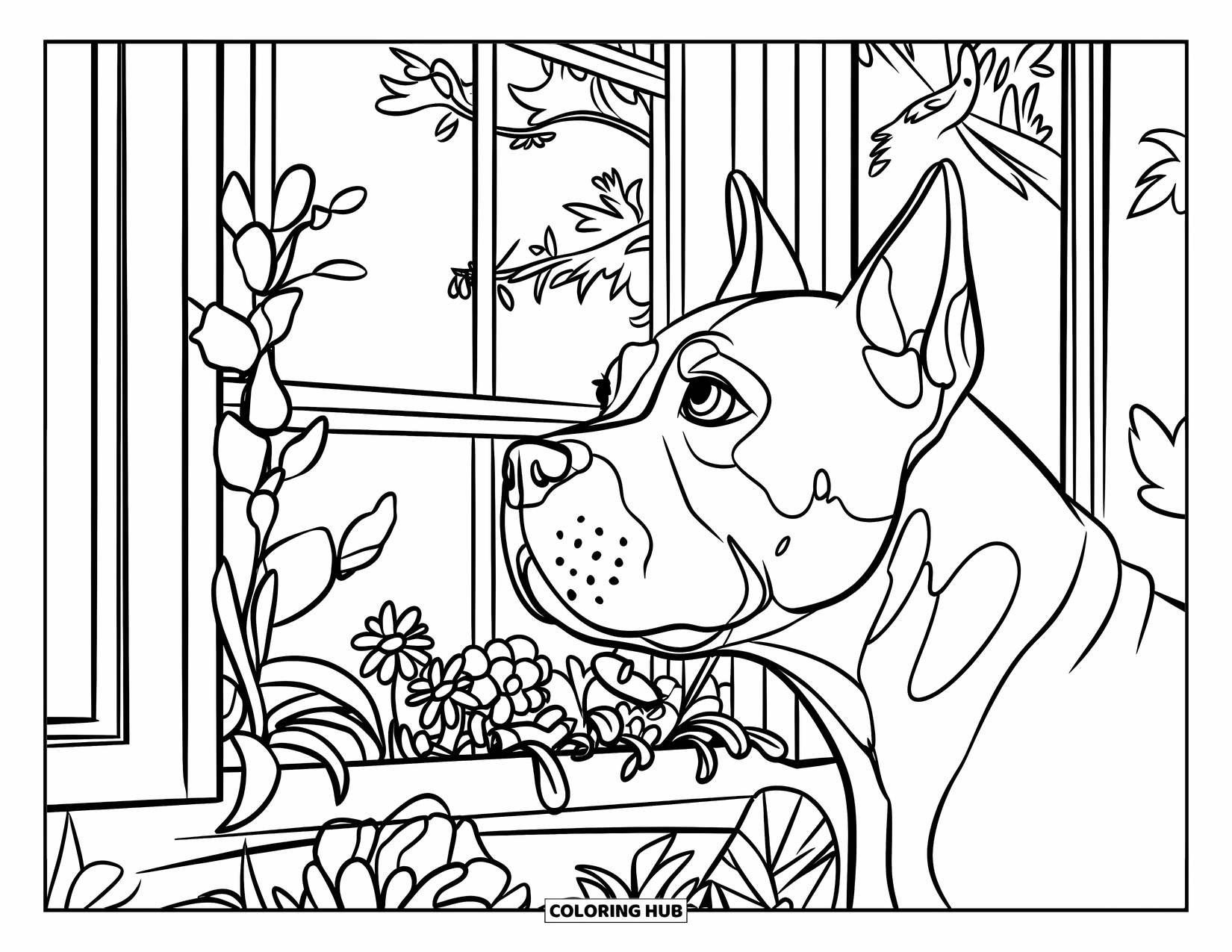 Dibujo para colorear de Pitbull para niños: Un pitbull mira por una ventana decorada con flores y plantas frondosas